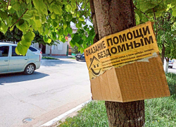 Никого не тревожат объявления о помощи бездомным, приклеенные где попало? - камышанка