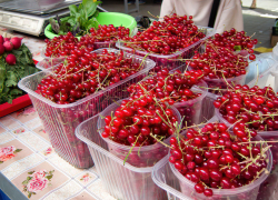 Фрукты и ягоды дорожают, а фруктово-ягодные консервы вдруг подешевели для камышан: мониторинг Волгоградстата