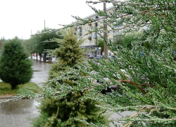 Синоптики спрогнозировали дождь в Камышине 25 октября