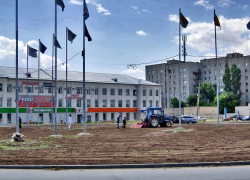 Службы благоустройства Камышина приступили к формированию самой большой городской клумбы