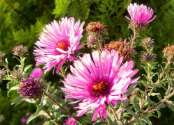 До летних температур прогреется воздух в последние сентябрьские выходные в Камышине