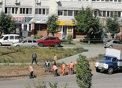 В Камышине "оранжевые жилеты" занялись покраской придорожных турникетов