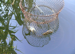 73-летний пенсионер погиб, отъехав после рыбалки со Щучьего пруда