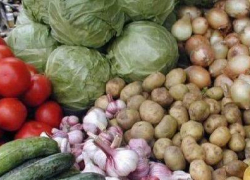К середине июля цены на овощи в Камышине снизились 
