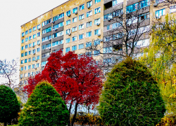  В Камышине сегодня солнечно, завтра пасмурно, но пока будет держаться "плюс": погода в День народного единства