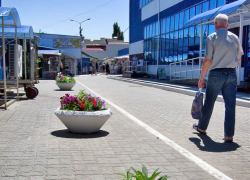 Камышинская административная газета "Диалог" объявила в радужных красках, что любой пенсионер города может поступить на работу: его, мол, ждут!