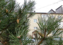 Слабого снега дождались камышане 25 января