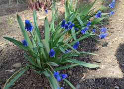 В Камышине опять зарядят дожди: погодная повестка на сегодня, 19 апреля