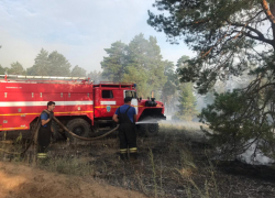 В Даниловском районе горит 200 гектаров леса, который тушат и камышинские пожарные (ВИДЕО)