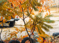 Синоптики заговорили о гололедице: водителям-камышанам приготовиться!