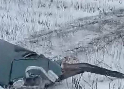 В селе Волгоградской области, где делает остановку поезд Камышин - Москва, опять упало "это" (ВИДЕО)