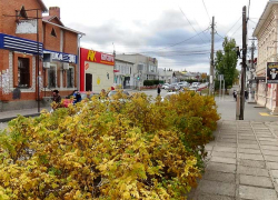 В Камышине полицейские задержали вора после публикации ориентировок