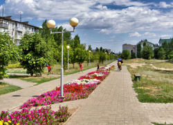 В Камышине Каштановую аллею пообещали превратить в розарий