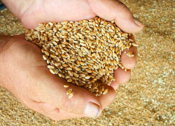 В Камышинском районе сгорело 3 тонны зерна и 8 тонн сена, пожарные боролись с огнем почти 3 часа