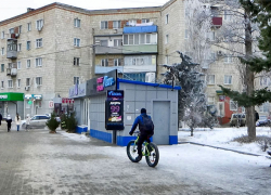 Камышане спрашивают у  городских властей, куда им выбрасывать использованные новогодние елки