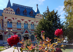 В Камышине розы побили рекорды прошлых лет по продолжительности цветения