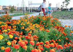 Яркое солнце, магнитные всплески и 30-градусная жара: погодная повестка для Камышина на 27 августа