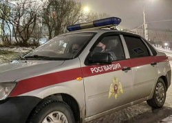 Сотрудники Росгвардии задержали в Камышине двух "удальцов"