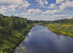 Жители села Костарево в Камышинском районе соболезнуют родным утонувшего в Иловле 34-летнего молодого человека, отца двоих детей