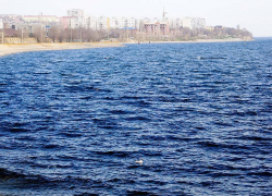 Настоящие и будущие архитекторы обсудили, как реконструировать набережную в Камышине