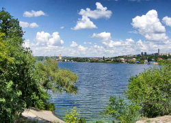 В Камышине зелень на реке обогнала купальный сезон