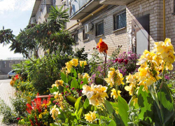 В каких домах в Камышине отключают свет сегодня, 9 октября