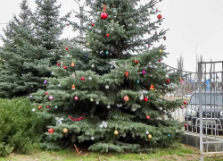 Мороз и ветер: зимняя погода установилась в Камышине 14 декабря