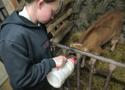 Для школьников из глубинки Камышинского района дал мастер-класс фермер