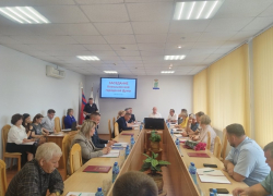 Главный полицейский Камышина выступил перед депутатами, тенденции в борьбе с криминалом остались за кадром в публикации