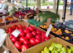 Сколько стоят овощи в овощной сезон в Волгоградской области