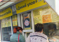 Затянули пояса: жители Волгоградской области снова сократили расходы, - "Блокнот Волгограда"