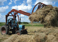 Кто и когда станет главой Камышинского района после смерти Владимира Ерофеева?