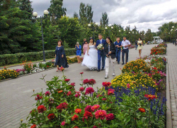 Почему девушки в Волгоградской области так хотят выйти замуж:  "это решение финансовых проблем"  или "наконец, будет регулярный секс"?
