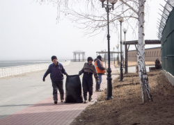 В Камышине уборку города начали с парка "Топольки" и набережной Камышинки, а жители спрашивают, когда пройдет высадка деревьев взамен вырубленных
