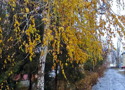 В Камышине сохранится пасмурная погода и маленький "плюс"