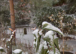 Следователи Камышина разбираются с трупом сторожа, обнаруженным под машиной