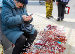 В Камышине местные активисты встали на защиту вербы