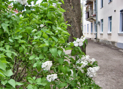 Энергетики взялись за отключение света после праздников в Камышине