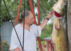 Московский рыбак-блогер поймал 50-килограммового сома-гиганта в Ахтубе