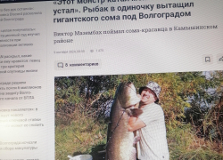Волгоградский портал рассказал, как в Камышинском районе рыбак вытащил гигантского сома