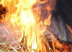 В Камышинском районе сгорел стог сена