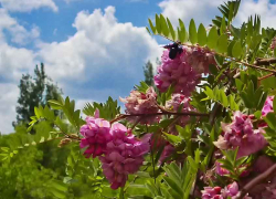 Для работающих камышан в июне предстоят две недели с тремя выходными в каждой