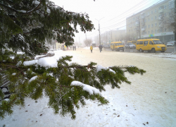 Небольшой снег днем и до -22-х ночью: погода в Камышине 3 февраля