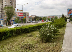 Администрация Камышина предупредила, что для репетиции праздничных маршей и митинга будет временно перекрыто движение