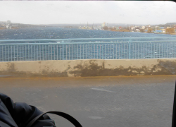 Свет пропадает у жителей Волгограда и Волгоградской области из-за ураганного ветра: куда звонить?