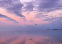 Камышанину кто-то размозжил голову, и он скончался в центральной городской больнице