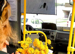 В Камышине среда 9 октября будет дождливой