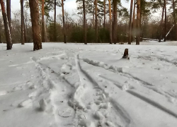 Снег с дождем и шквалистый ветер - неустойчивая погода ждет камышан 17 декабря
