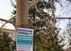 Надо силой полиции убирать притон алкоголиков на центральной улице, а не вывешивать для них объявления! - камышанка