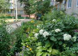 Неравнодушные камышане компенсируют цветами у домов минусы штатных озеленителей